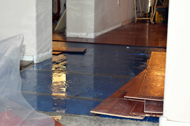 Professional Burst Pipe Water Damage technician working in La Grange, TX